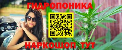 гашик Бузулук