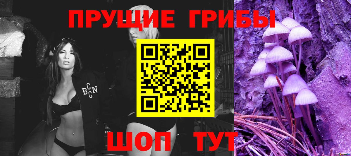 Коркино  Псилоцибиновые грибы GOLDEN TEACHER  магазин    Вход с VPN 